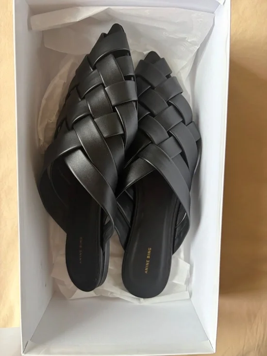 Anine Bing Eve Flats, NWT - Picture 6 of 6